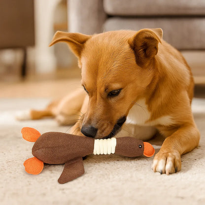 Kaufestes Hundespielzeug | Robust & sicher für Zahnpflege