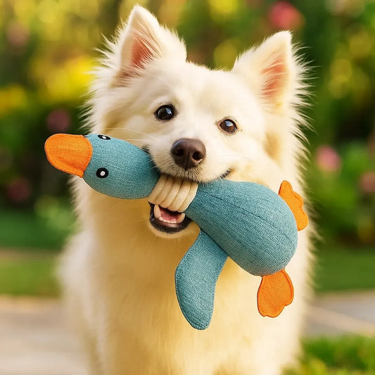 Kaufestes Hundespielzeug | Robust & sicher für Zahnpflege