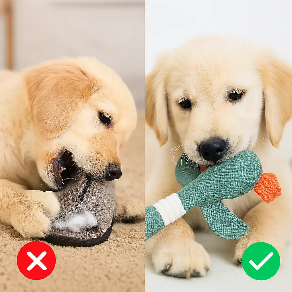 Kaufestes Hundespielzeug | Robust & sicher für Zahnpflege