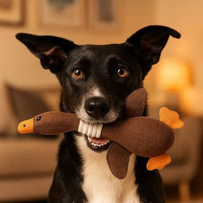 Kaufestes Hundespielzeug | Robust & sicher für Zahnpflege