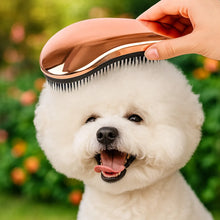 Dog Brush | Coat Care for Shiny & Healthy Fur