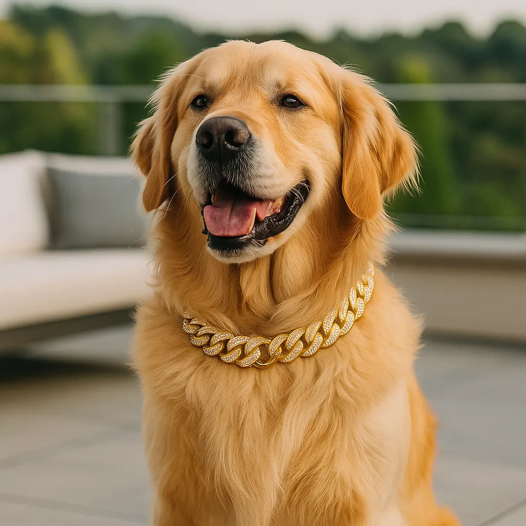 Luxus Hundehalsband mit Strass | Robust & bequem für alle Größen