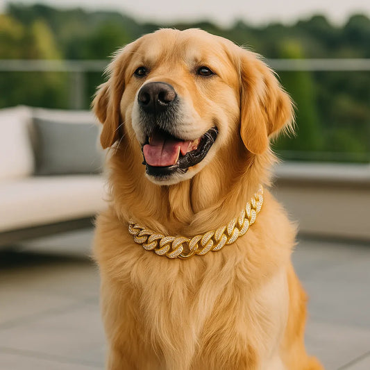 Luxus Hundehalsband mit Strass | Robust & bequem für alle Größen