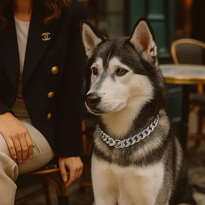 Luxus Hundehalsband mit Strass | Robust & bequem für alle Größen
