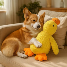 Jouet pour chien canard avec son | Interactif & robuste
