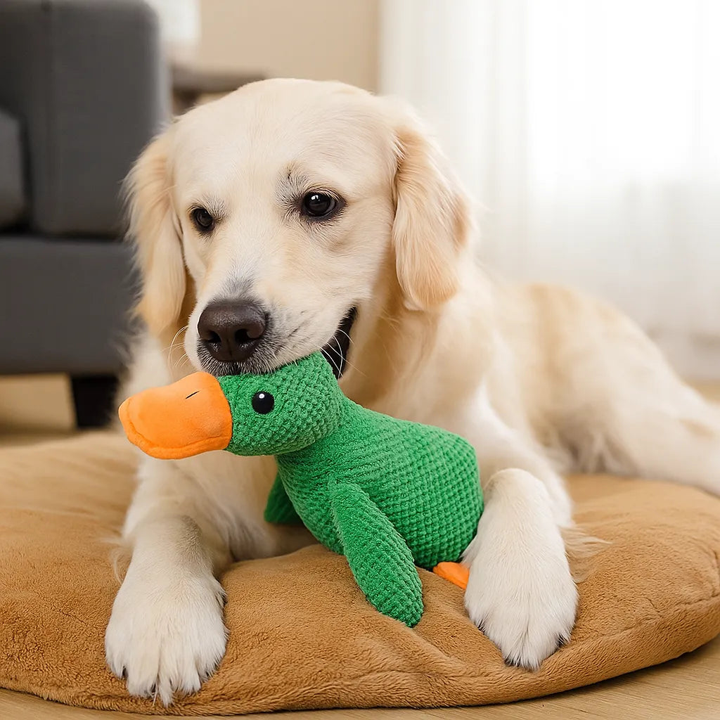 Hundespielzeug Ente mit Sound | Interaktiv & robust