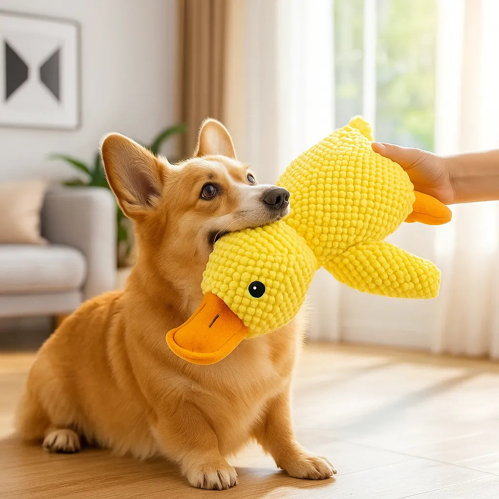 Hundespielzeug Ente mit Sound | Interaktiv & robust