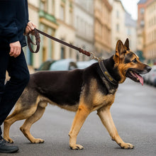 Dog leash made of leather | Soft hand strap | Sturdy & durable