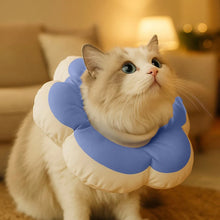 Soft Neck Collar | Leak Protection & Wound Protection After Surgery