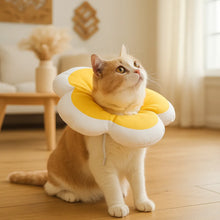 Soft Neck Collar | Leak Protection & Wound Protection After Surgery