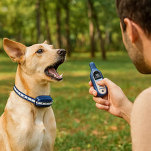 AntiBell Collar | Sound, Vibration & Impulse | Waterproof & 1000m