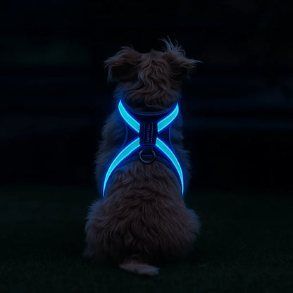 Hundegeschirr LED leuchtend | Mehrfarbig & wiederaufladbar