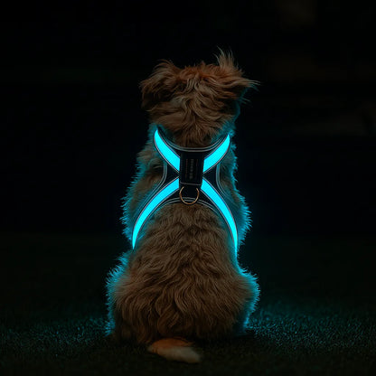 Hundegeschirr LED leuchtend | Mehrfarbig & wiederaufladbar