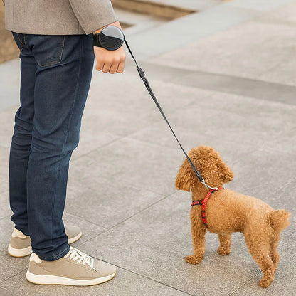 Hundeleine freihändig | Mit Handschlaufe & Stoppfunktion | 3 m für Hunde bis 25 kg