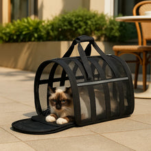 Soft & Foldable Cat Transport Box | Breathable Carrying Bag with Mesh & Handle