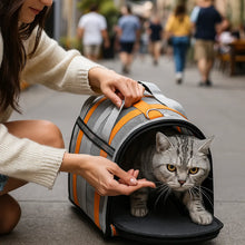 Soft & Foldable Cat Transport Box | Breathable Carrying Bag with Mesh & Handle