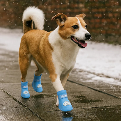 Hundeschuhe wasserdicht & rutschfest | Mit Klettverschluss für Regen & Schnee