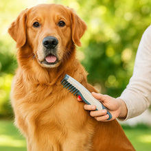 Electric Dog Brush | Gentle De-matting & Detangling