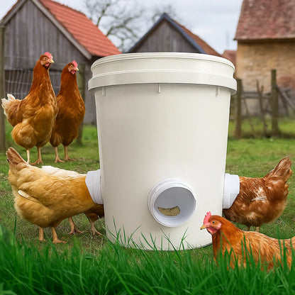 Distributeur de nourriture pour poules | Alimentation automatique & propre