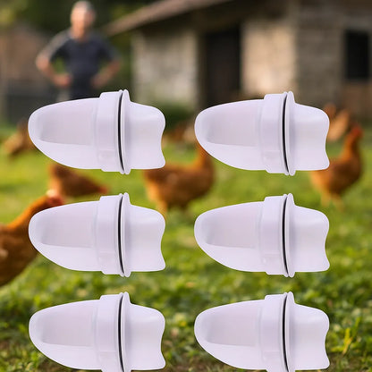 Distributeur de nourriture pour poules | Alimentation automatique & propre