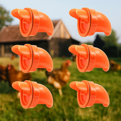 Distributeur de nourriture pour poules | Alimentation automatique & propre