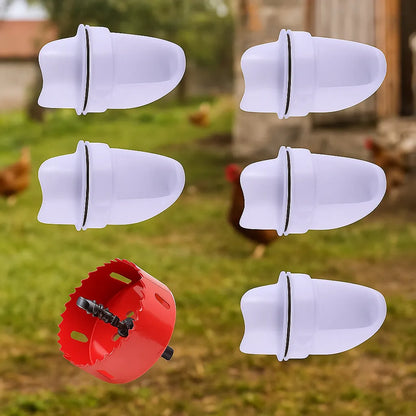 Distributeur de nourriture pour poules | Alimentation automatique & propre