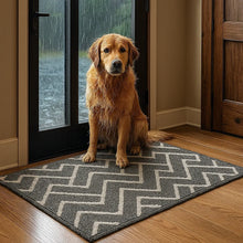 Dirt-catching mat for dogs | absorbent & non-slip doormat washable
