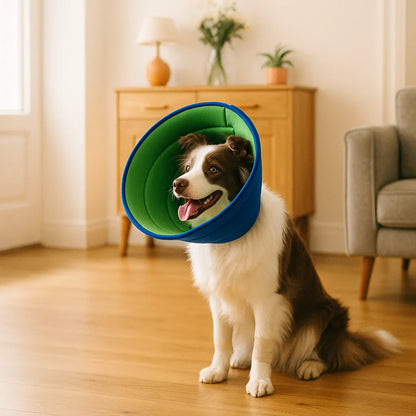 Halskrause Hund weich | verstellbar, atmungsaktiv & bequem