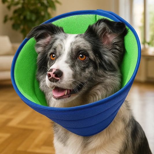 Halskrause Hund weich | verstellbar, atmungsaktiv & bequem