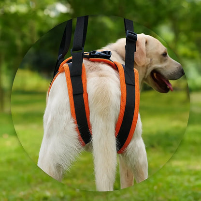 Hundetragehilfe hinten | gepolstert & stabil für Unterstützung