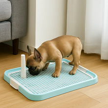 Dog Toilet | Hygienic Solution for Puppies & Small Dogs