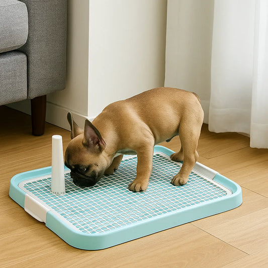Hundetoilette | Hygienische Lösung für Welpen & kleine Hunde