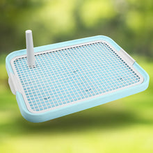 Dog Toilet | Hygienic Solution for Puppies & Small Dogs