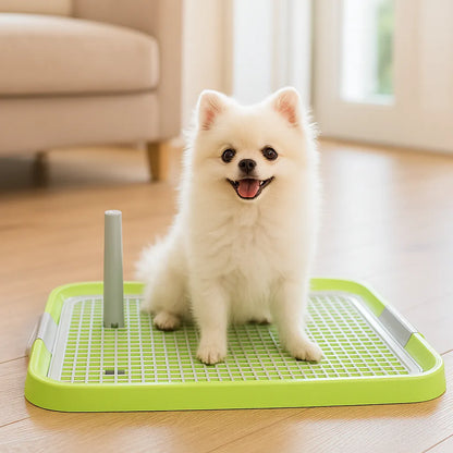 Hundetoilette | Hygienische Lösung für Welpen & kleine Hunde