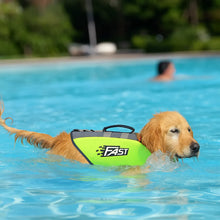 Dog life jacket | with handle, adjustable & safe