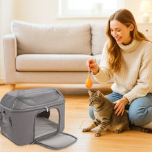 Foldable Cat Transport Box | Lightweight & Breathable