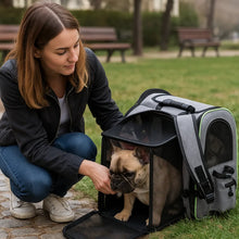 Dog backpack | Breathable & ventilated for travel and hikes