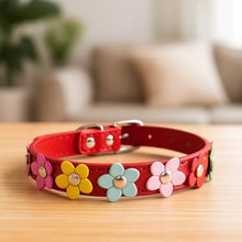 Adjustable Cat Collar | Soft with Safety Closure & Flower Pattern
