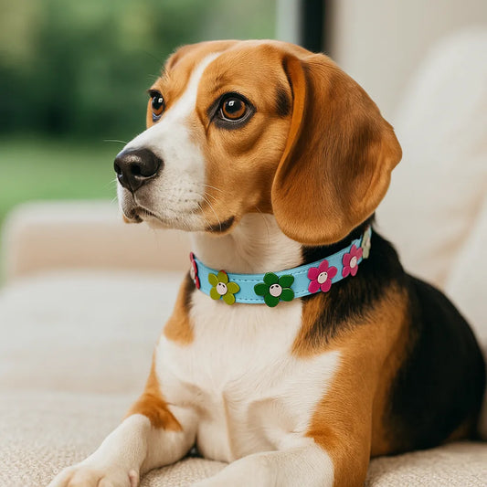 Hundehalsband verstellbar | Robust & weich mit Blumenmuster