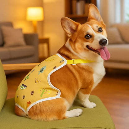 Hundehose mit Trägern | Hundewindel – Waschbar & verstellbar