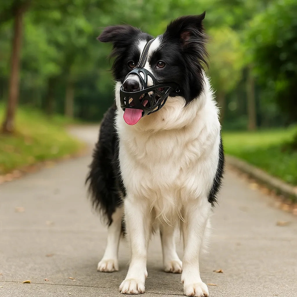 Maulkorb Hund | Atmungsaktiv & verstellbar für Training & Alltag