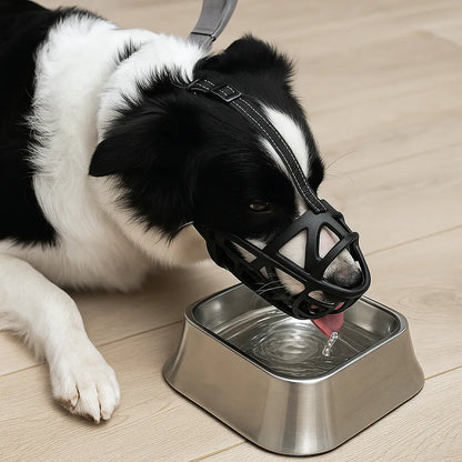 Maulkorb Hund | Atmungsaktiv & verstellbar für Training & Alltag