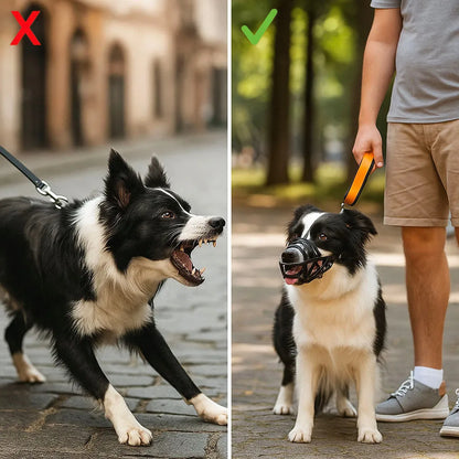 Maulkorb Hund | Atmungsaktiv & verstellbar für Training & Alltag
