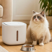 Airtight Cat Food Container | Cat Food Box for Dry Food