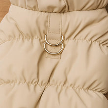 Warm and padded cat coat | Water- and wind-resistant