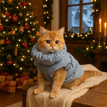 Warm and padded cat coat | Water- and wind-resistant