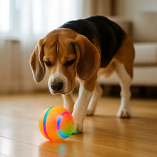 Interactive dog toy | Self-rolling LED ball for dogs