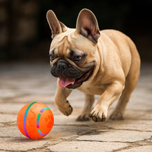 Interactive dog toy | Self-rolling LED ball for dogs