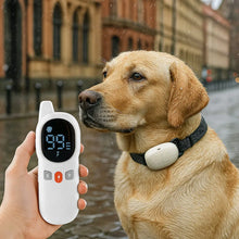 Anti-bark collar for dogs | Training collar with remote control