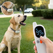 Anti-bark collar for dogs | Training collar with remote control